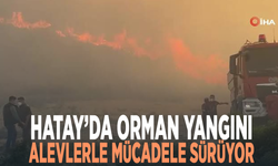 Hatay’da orman yangını.... Alevlerle mücadele sürüyor