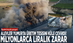 İlçede büyük yangın! Alevler yumurta üretim tesisini küle çevirdi.. Milyonlarca liralık zarar
