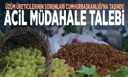 Üzüm üreticilerinin sorunları Cumhurbaşkanlığı'na taşındı! Acil müdahale talebi