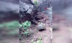 Dağ keçileri böyle nasıl hayatta kalabiliyor?