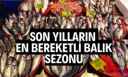 Son yılların en bereketli balık sezonu