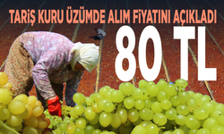 TARİŞ kuru üzümde alım fiyatını açıkladı: 80 TL