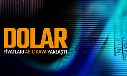 Dolar 49 liraya yaklaştı