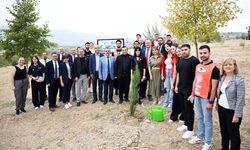 MCBÜ'den COP31 hamlesi