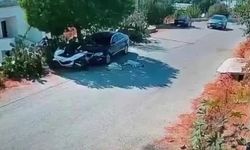Otomobiliyle köpeklerin üzerinden geçti