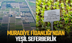 Muradiye Fidanlığı’ndan yeşil seferberlik