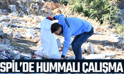 Spil'de hummalı çalışma