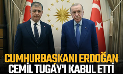 Cumhurbaşkanı Erdoğan, Cemil Tugay'ı kabul etti