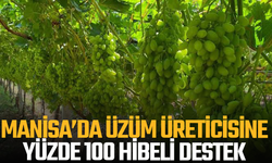 Manisa’da üzüm üreticisine yüzde 100 hibeli destek