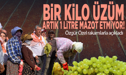 Bir kilo üzüm artık 1 litre mazot etmiyor! Özgür Özel rakamlarla açıkladı