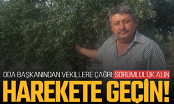 Oda başkanından vekillere çağrı: Sorumluluk alın, harekete geçin!