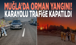 Muğla’da orman yangını! Karayolu trafiğe kapatıldı