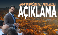Arınç'tan üzüm fiyatlarıyla ilgili açıklama