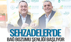 Şehzadeler'de Bağ Bozumu Şenliği başlıyor