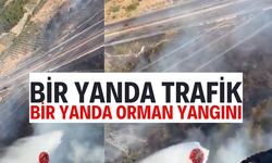 Manisa'da otoyol kenarında orman yangını