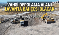 Vahşi depolama alanı lavanta bahçesi olacak