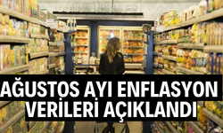 TÜİK, ağustos ayı enflasyon verilerini açıkladı