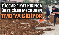 Tüccar fiyat kırınca üreticiler mecburen TMO’ya gidiyor