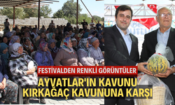 Ayvatlar'ın kavunu Kırkağaç kavununa karşı... Festivalden renkli görüntüler