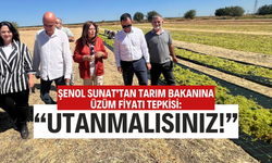 ŞENOL SUNAT’TAN TARIM BAKANINA ÜZÜM FİYATI TEPKİSİ: “UTANMALISINIZ!”