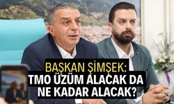 BAŞKAN ŞİMŞEK: TMO ÜZÜM ALACAK DA NE KADAR ALACAK