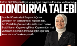 İstanbul Başsavcılığından talep: Kaya çiftinin malları dondurulsun