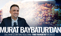 Baybatur’dan Sultani üzüm üreticilerine TMO randevu müjdesi