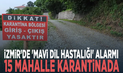 İzmir’de 'mavi dil hastalığı' alarmı: 15 mahalle karantinada