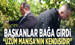 Başkanlar bağa girdi... “Üzüm Manisa’nın kendisidir”