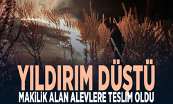 Yıldırım düştü, makilik alan alevlere teslim oldu