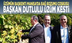 Üzümün başkenti Manisa’da bağ bozumu coşkusu... Başkan Dutlulu üzüm kesti