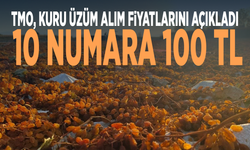 TMO, kuru üzüm alım fiyatlarını açıkladı: 10 numara 100 TL