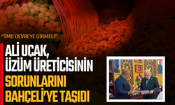 ALİ UÇAK, ÜZÜM ÜRETİCİSİNİN SORUNLARINI BAHÇELİ’YE TAŞIDI: “TMO DEVREYE GİRMELİ