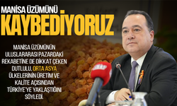 Besim Dutlulu: Manisa üzümünü kaybediyoruz