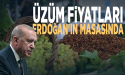 Üzüm fiyatları Erdoğan'ın masasında