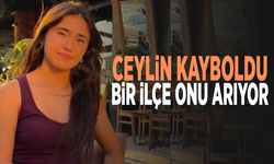 Ceylin kayboldu, bir ilçe onu arıyor