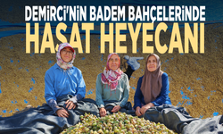 Demirci'nin badem bahçelerinde hasat heyecanı