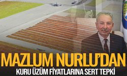 Mazlum Nurlu’dan kuru üzüm fiyatına tepki