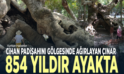 Cihan padişahını gölgesinde ağırlayan çınar, 854 yıldır ayakta