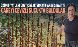 Üzüm fiyatları üreticiyi alternatif arayışına itti! Çareyi cevizli sucukta buldular