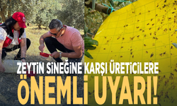Zeytin sineğine karşı üreticilere önemli uyarı!