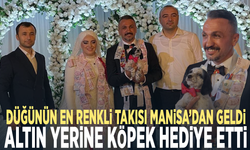 Düğünün en renkli takısı Manisa’dan geldi... Altın yerine köpek hediye etti
