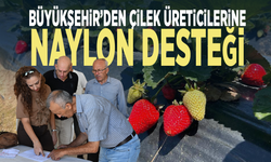 Büyükşehir’den çilek üreticilerine naylon desteği