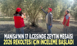 Manisa’nın 17 ilçesinde zeytin mesaisi: 2026 rekoltesi için inceleme başladı