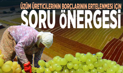 Üzüm üreticilerinin borçlarının ertelenmesi için soru önergesi