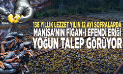 138 yıllık lezzet yılın 12 ayı sofralarda... Manisa’nın Figan-i Efendi Eriği yoğun talep görüyor