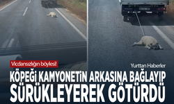 Vicdansızlığın böylesi! Köpeği kamyonetin arkasına bağlayıp sürükleyerek götürdü