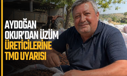 Aydoğan Okur’dan üzüm üreticilerine TMO uyarısı