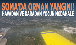 Soma’da orman yangını! Havadan ve karadan yoğun müdahale