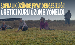 Sofralık üzümde fiyat dengesizliği! Üretici kuru üzüme yöneldi